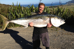 Nick Boulgaris, spearing fish off Whangarei, dived after his target several times. The 49.8kg kingfish is awaiting taxidermy. Photo / Supplied