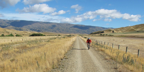 Choose a horse over a bicycle for a more tranquil way of exploring the Rail Trail. Photo / Pamela Wade