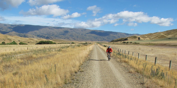 Choose a horse over a bicycle for a more tranquil way of exploring the Rail Trail. Photo / Pamela Wade