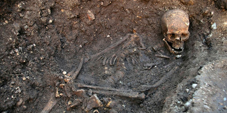 The remains of Richard III. Photo / AP