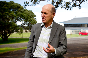 Board chairman Chris Darby said the concept was "an elegant pavilion in the park". Photo / Dean Purcell