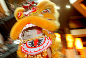 Dragon dancing and other traditions are on show for Chinese New Year celebrations. Photo / Natalie Slade