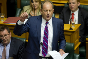 The vote on David Shearer's leadership is a requirement of the Labour Party's constitution. Photo / Mark Mitchell