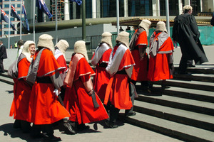 The Independent Constitutional Review Panel would have us all believe we'll have a written constitution in supreme law, with a pro-Maori bias, foisted upon us. Photo / APN