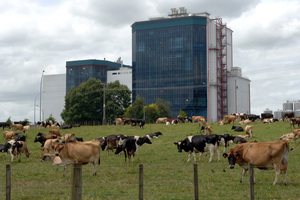 Chinese dairy giant Yashili plans to build a $210m factory near Pokeno, Waikato. Pictured - Fonterra's Te Rapa dairy factory. Photo / Bay of Plenty Times