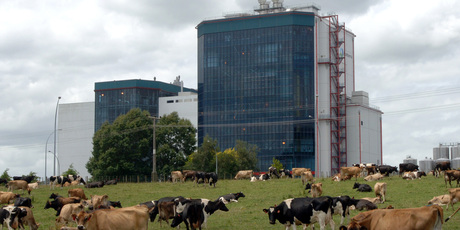 Chinese dairy giant Yashili plans to build a $210m factory near Pokeno, Waikato. Pictured - Fonterra's Te Rapa dairy factory. Photo / Bay of Plenty Times