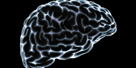 Photo / Thinkstock