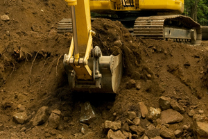 Photo / File / Thinkstock