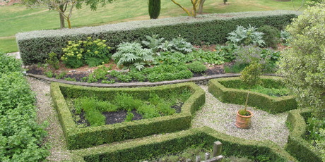 Thyme for a drink - Herbs from the potager garden complement meals at Pegasus Bay's award-winning vineyard restaurant. Photo / Ewan McDonald