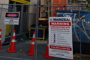 A security guard outside the buildings said she was there to stop other contractors entering without permission. Photo / Brett Phibbs