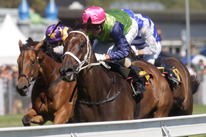 Sangster didn't just win the $200,000 Darci Brahma International - he destroyed the opposition. Photo / Supplied