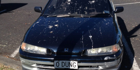 "It appears the seagulls at Bayswater marina understand irony," says Paul Dunn. Photo / Supplied