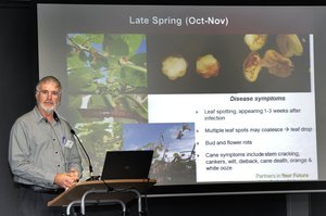Aespri Symposium run by the New Zealand Plant Protection Society. Photo / Bay Of Plenty Times
