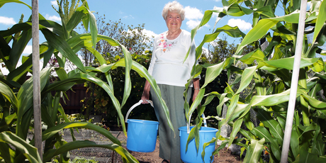 Yvonne Dabb has considered giving up her garden since her water bills sky-rocketed. Photo / Doug Sherring