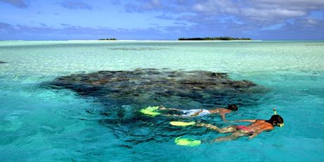 Marine reserves are improving snorkelling in the Cook Islands. Photo / Supplied