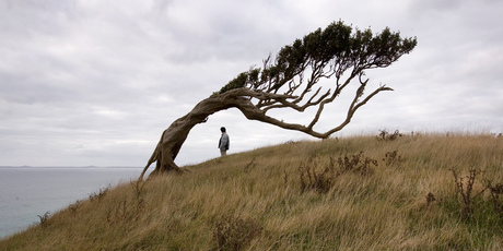 The isolated Chathams, off the east coast of New Zealand, offer stunning views. Photo / Mark Mitchell