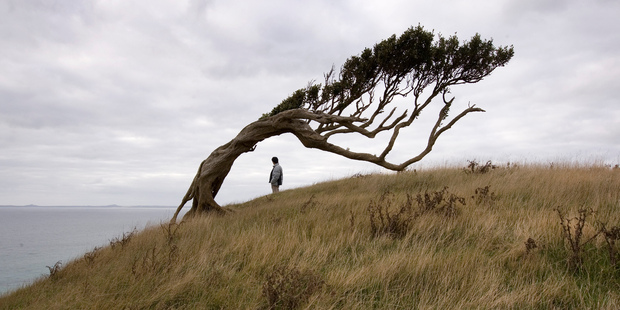The isolated Chathams, off the east coast of New Zealand, offer stunning views. Photo / Mark Mitchell