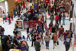 Spending on consumables rose 0.8 per cent. Photo / Kellie Blizard