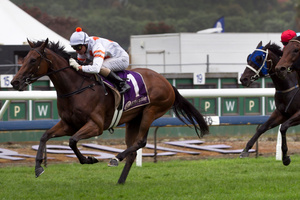 Fix could have the opportunity to add the NZ Derby to her three wins at Ellerslie. Photo / Natalie Slade