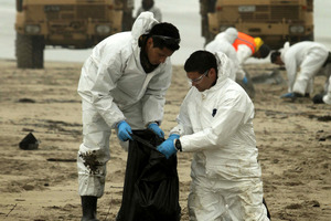 The clean-up after the Rena spilled 350 tonnes of heavy fuel oil cost $47 million. Photo / APN