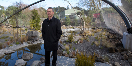 Mainzeal's receivership should be a red flag for the sector, says Shane Brealey. Photo / Mark Mitchell