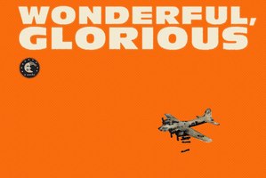 Album cover Eels - Wonderful, Glorious. Photo / Supplied