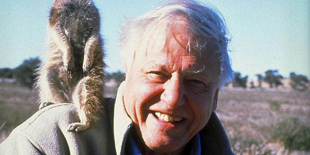 David Attenborough in The Life of Mammals. Photo/supplied