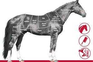 Graphic / NZ Herald