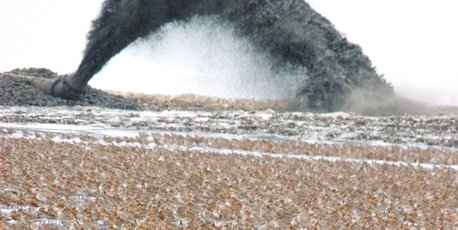 Reclamation under way in China, with bar-tailed godwits in the foreground.