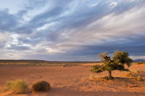 The man had set out for a walk from the ranch in Vergemont where he had been working, carrying a heavy backpack as training. Photo / Thinkstock