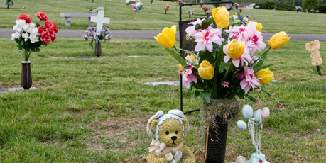 The council last week apologised to families after three rows of graves in the infant and stillborn children's section of Waikumete Cemetery were ripped up. Photo / Thinkstock