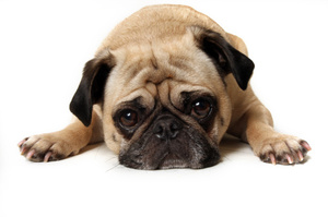 Do you think the world has become a worse place to live? Photo / Thinkstock
