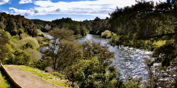 One of the post popular sections of the Waikato River Trails. Photo / Supplied