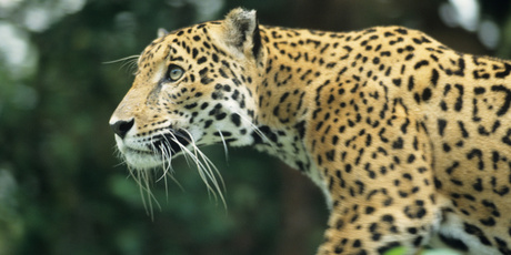Photo / Thinkstock Photo / Thinkstock