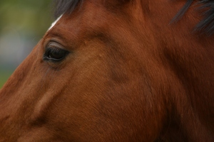 Photo / File / Thinkstock