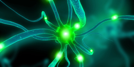 Miguel Nicolelis said he has now created what he has called the 'brain-to-brain interface'. Photo / Thinkstock