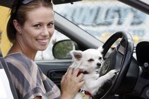 Jamie Lyon was reunited with Candy. Photo / Northern Advocate