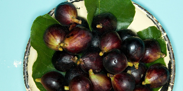 Grant Allen goes fig-gathering and makes some treats. Photo / Michael Craig