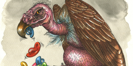 Illustration / Anna Crichton