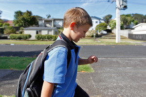 Our schools, whatever decile, are pretty much of a muchness. Photo / Michael Craig