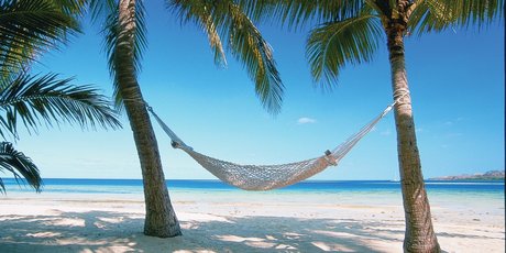 The high kiwi dollar means it's a good time to go on holiday or be an importer. Photo / supplied