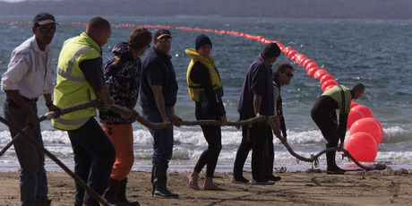 The Southern Cross cable comes ashore on Takapuna beach back in 1999. Photo / NZ Herald