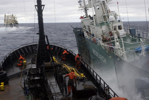 Sea Shepherd's protest ship and Japanese whaling ship Nisshin Maru collide. Photo / Glenn Lockitch
