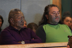 Tame Wairere Iti sits with Te Rangikaiwhira Kemara. Photo / File / Greg Bowker