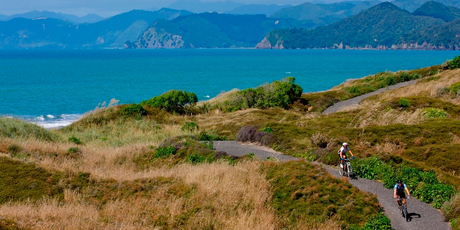 The ride across the Motu Dunes in Opotiki. Photo / Supplied