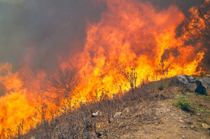 Victorian firefighters were feeling the strain of almost two months of difficult work. Photo / Thinkstock