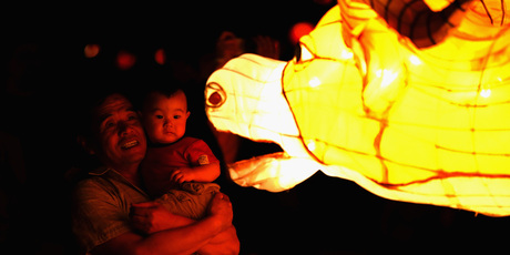 Chinese lanterns on display in Albert Park. Chinese people generally travel more around the Chinese New Year holiday. Photo / Phil Walter