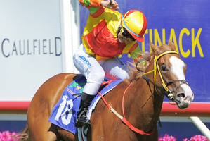 Miracles Of Life wins the Blue Diamond Stakes at Caulfield. Photo / Getty Images