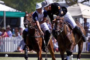 Pedro Harrison of Bayleys up against Nachi du Plessis of Veuve Clicquot in the final. Photo / Sarah Ivey