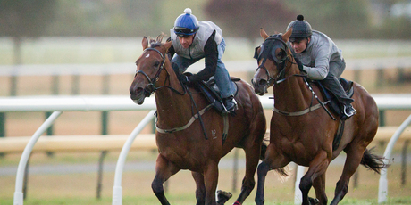 Rollout The Carpet (rails) works with Anakela at Ellerslie yesterday, taking 34.5 for their final. Photo / Greg Bowker